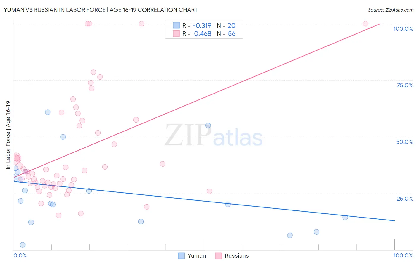 Yuman vs Russian In Labor Force | Age 16-19