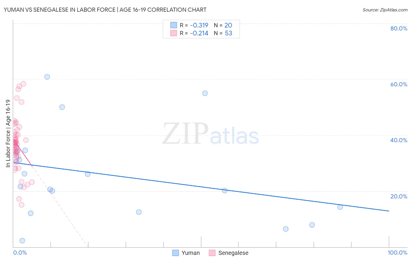 Yuman vs Senegalese In Labor Force | Age 16-19