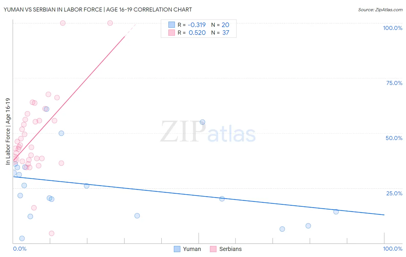 Yuman vs Serbian In Labor Force | Age 16-19
