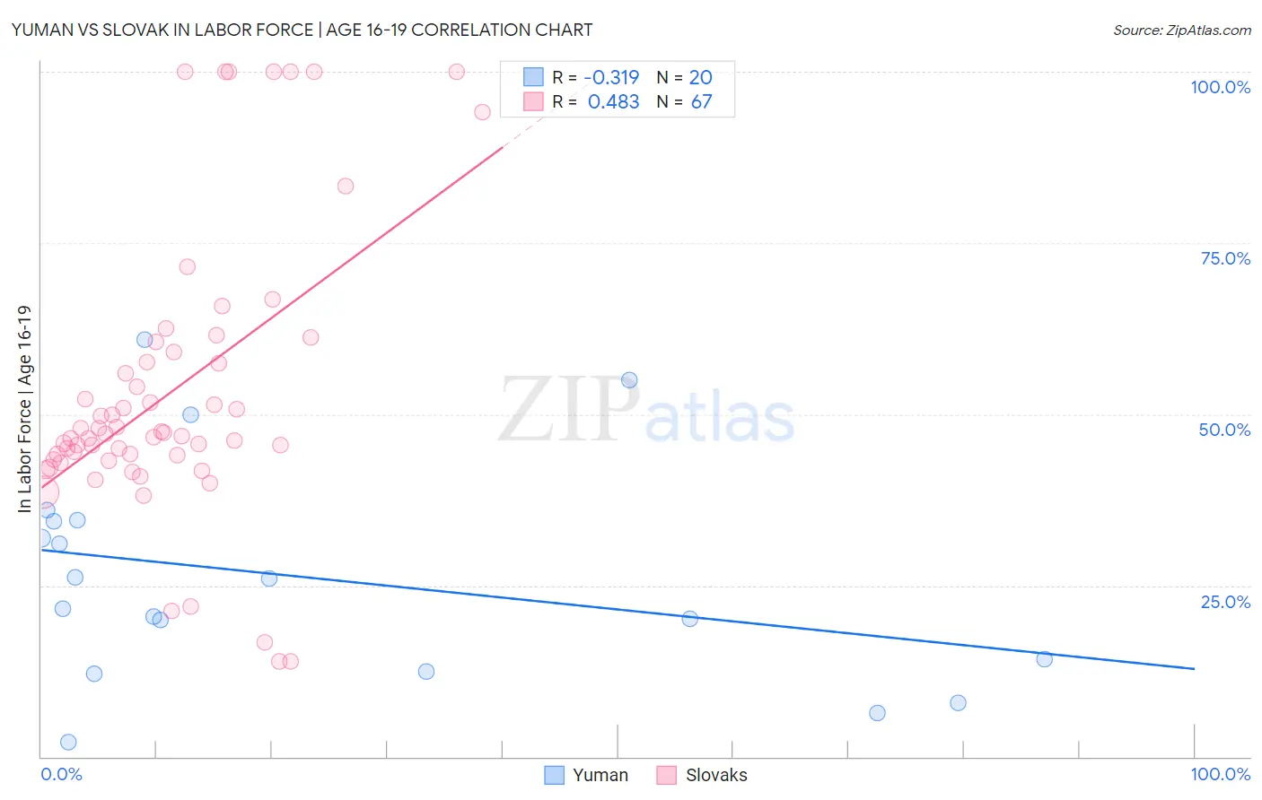 Yuman vs Slovak In Labor Force | Age 16-19
