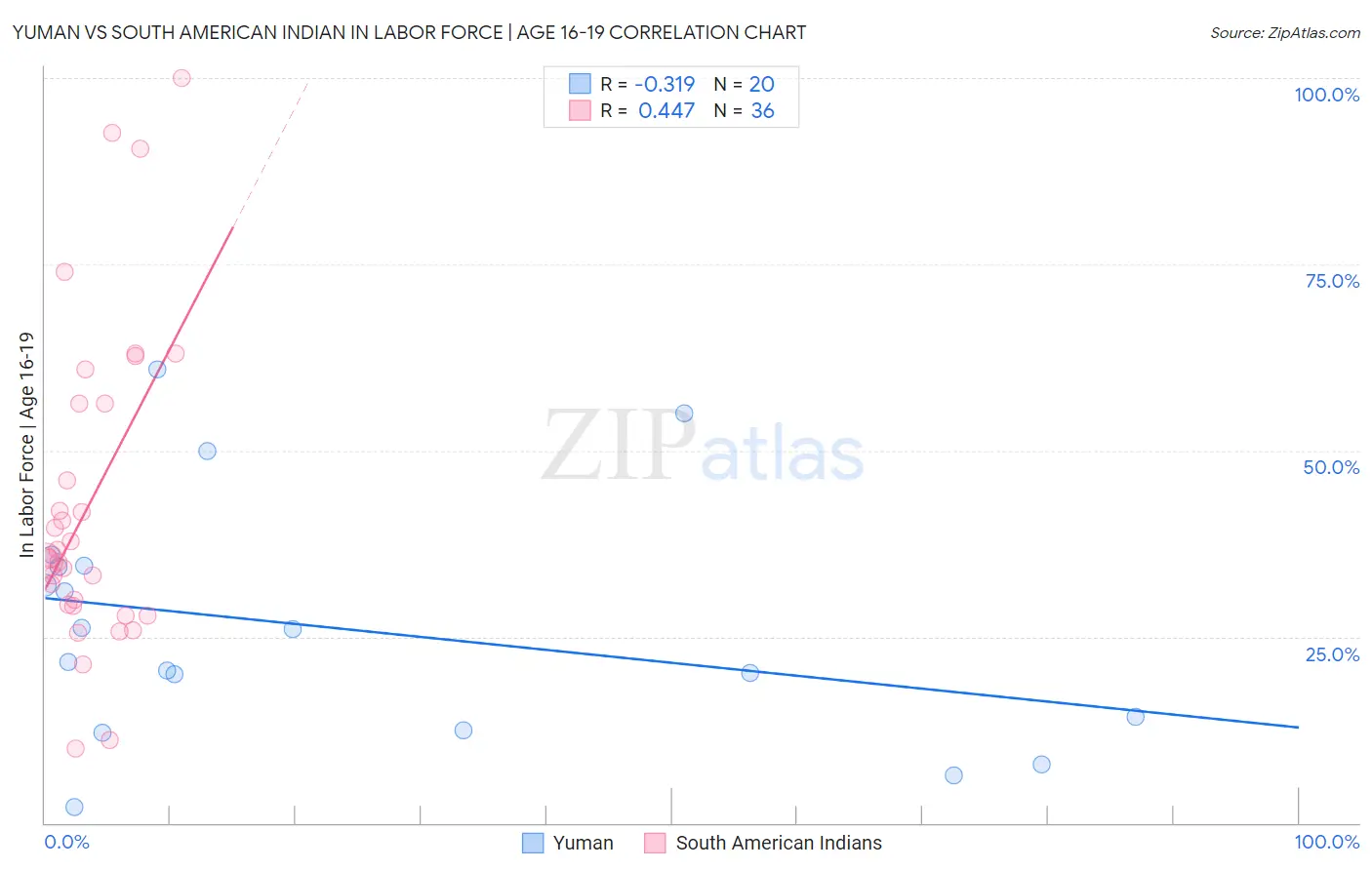 Yuman vs South American Indian In Labor Force | Age 16-19