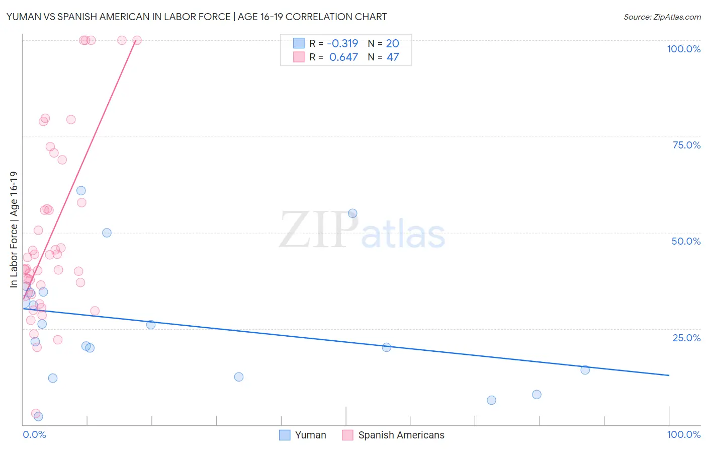 Yuman vs Spanish American In Labor Force | Age 16-19