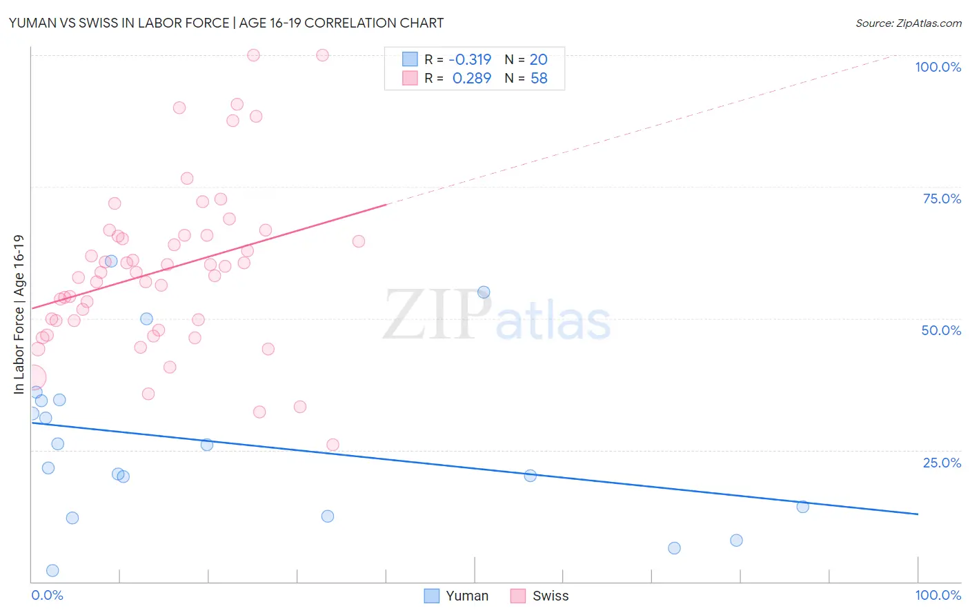 Yuman vs Swiss In Labor Force | Age 16-19