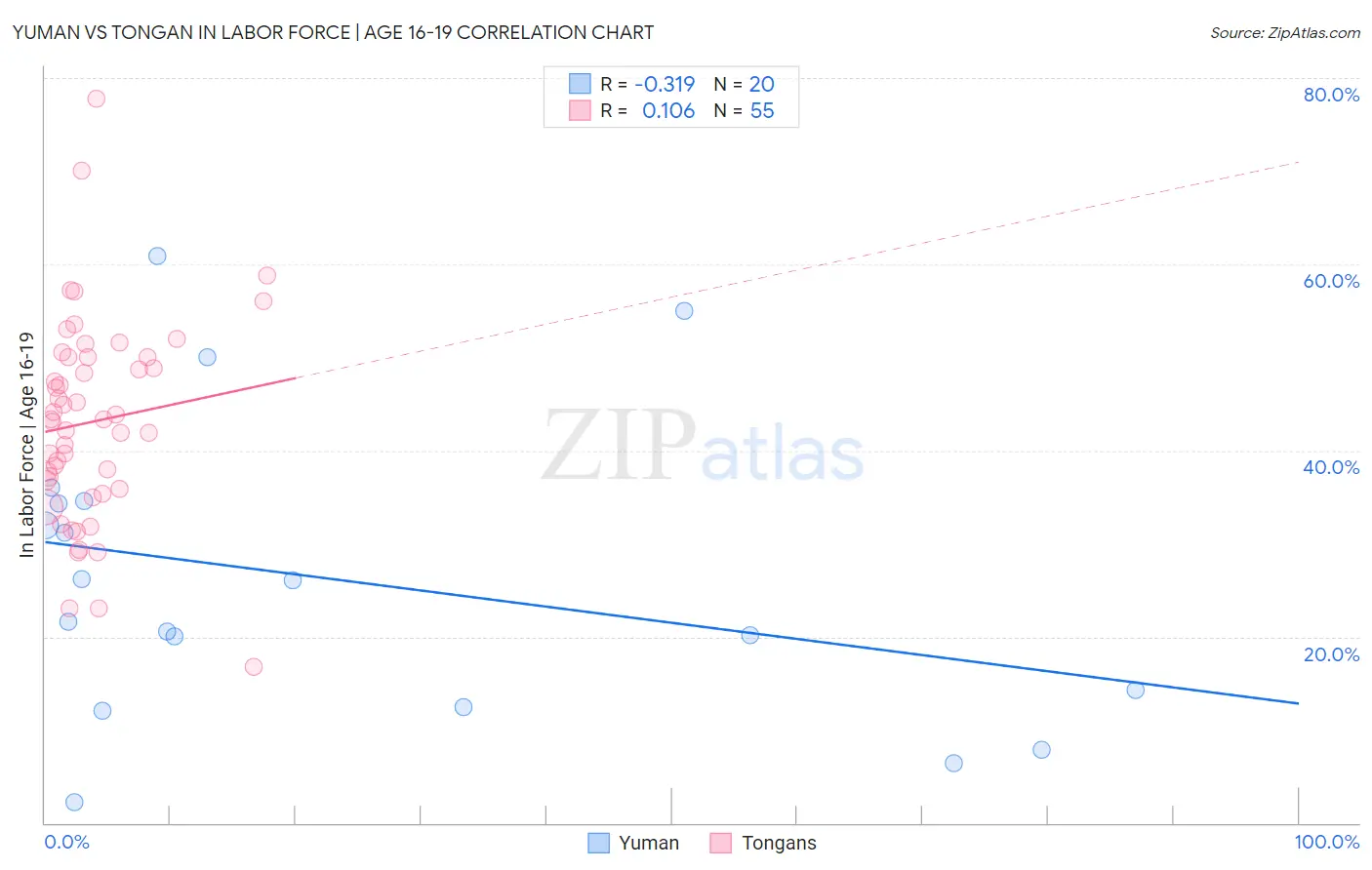 Yuman vs Tongan In Labor Force | Age 16-19
