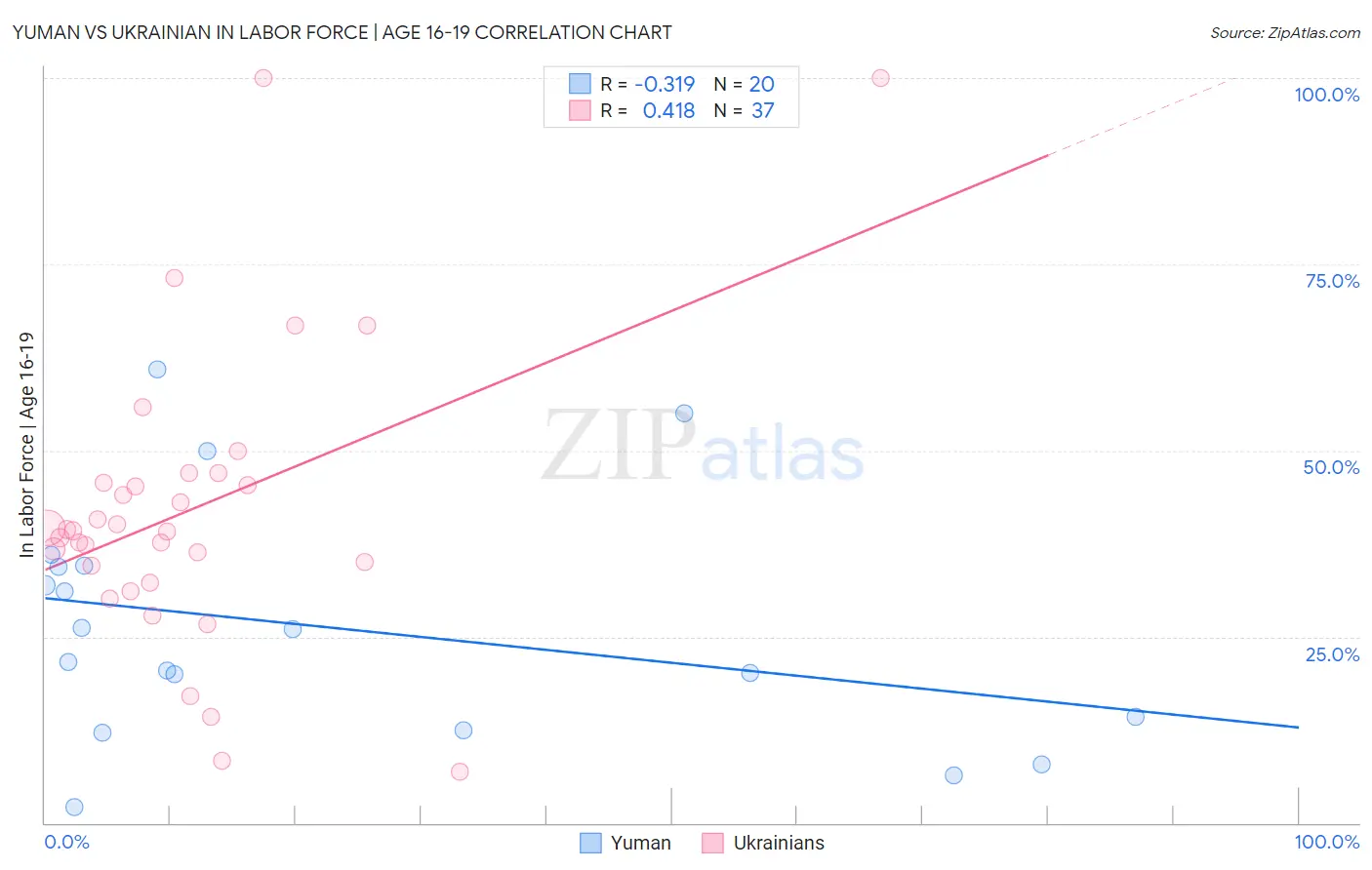 Yuman vs Ukrainian In Labor Force | Age 16-19