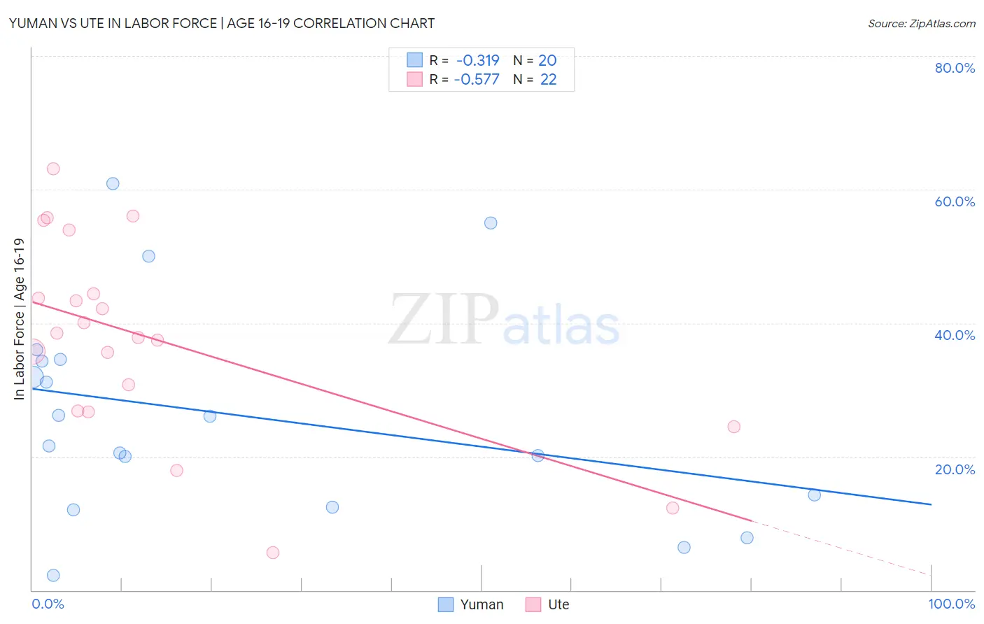Yuman vs Ute In Labor Force | Age 16-19