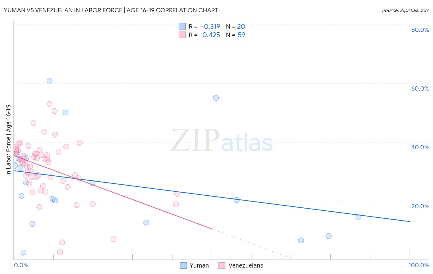 Yuman vs Venezuelan In Labor Force | Age 16-19