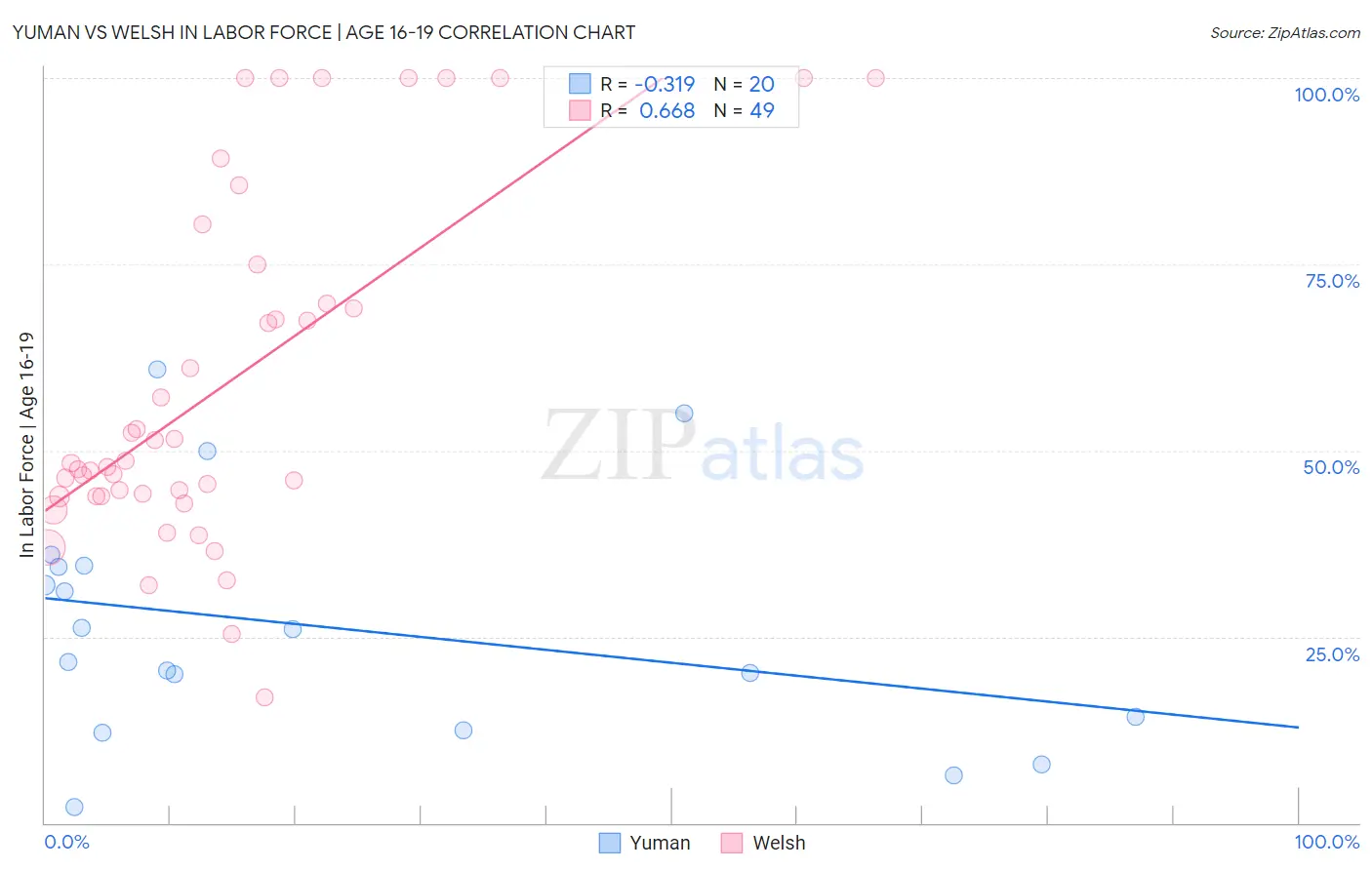 Yuman vs Welsh In Labor Force | Age 16-19