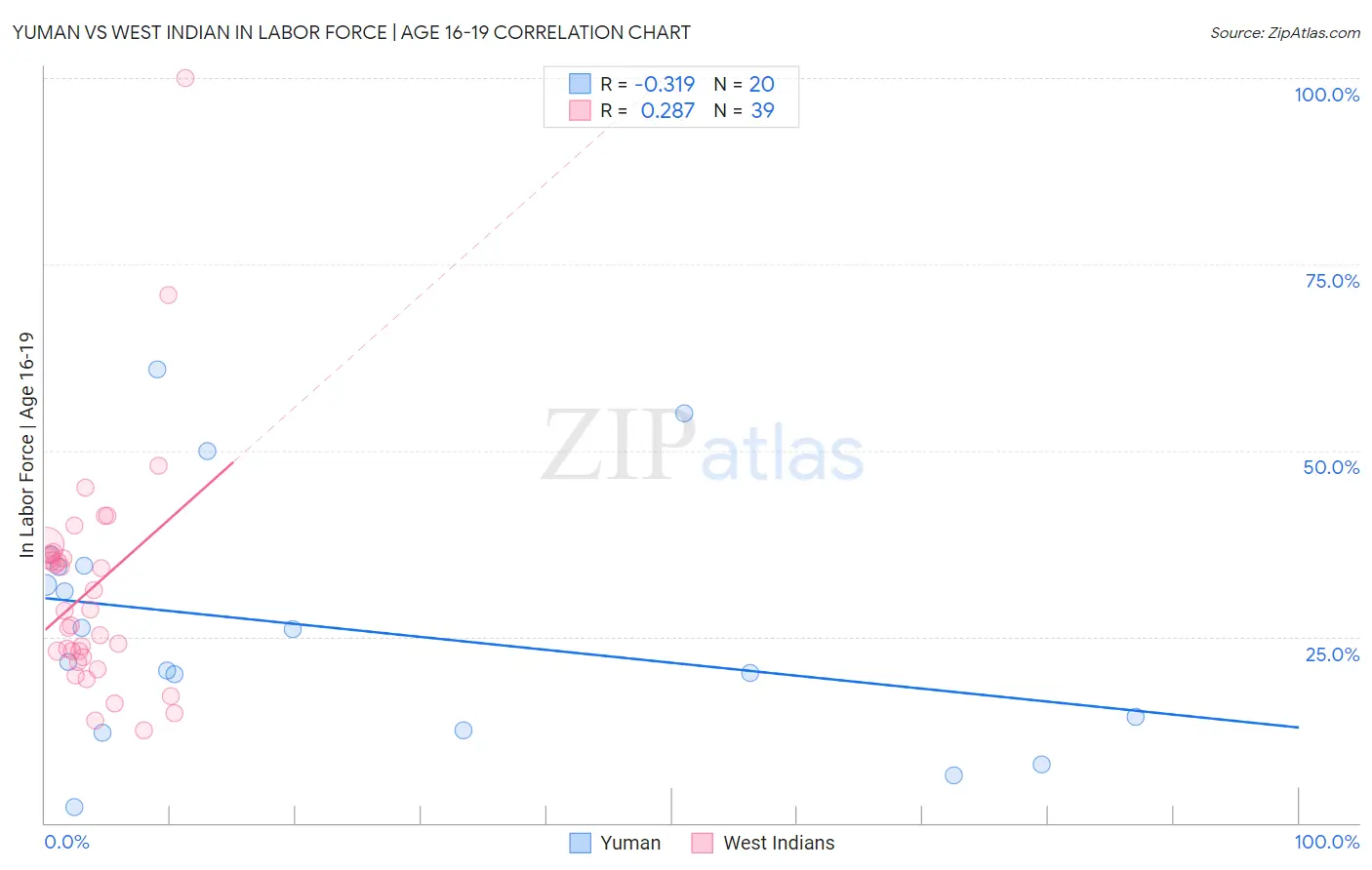 Yuman vs West Indian In Labor Force | Age 16-19