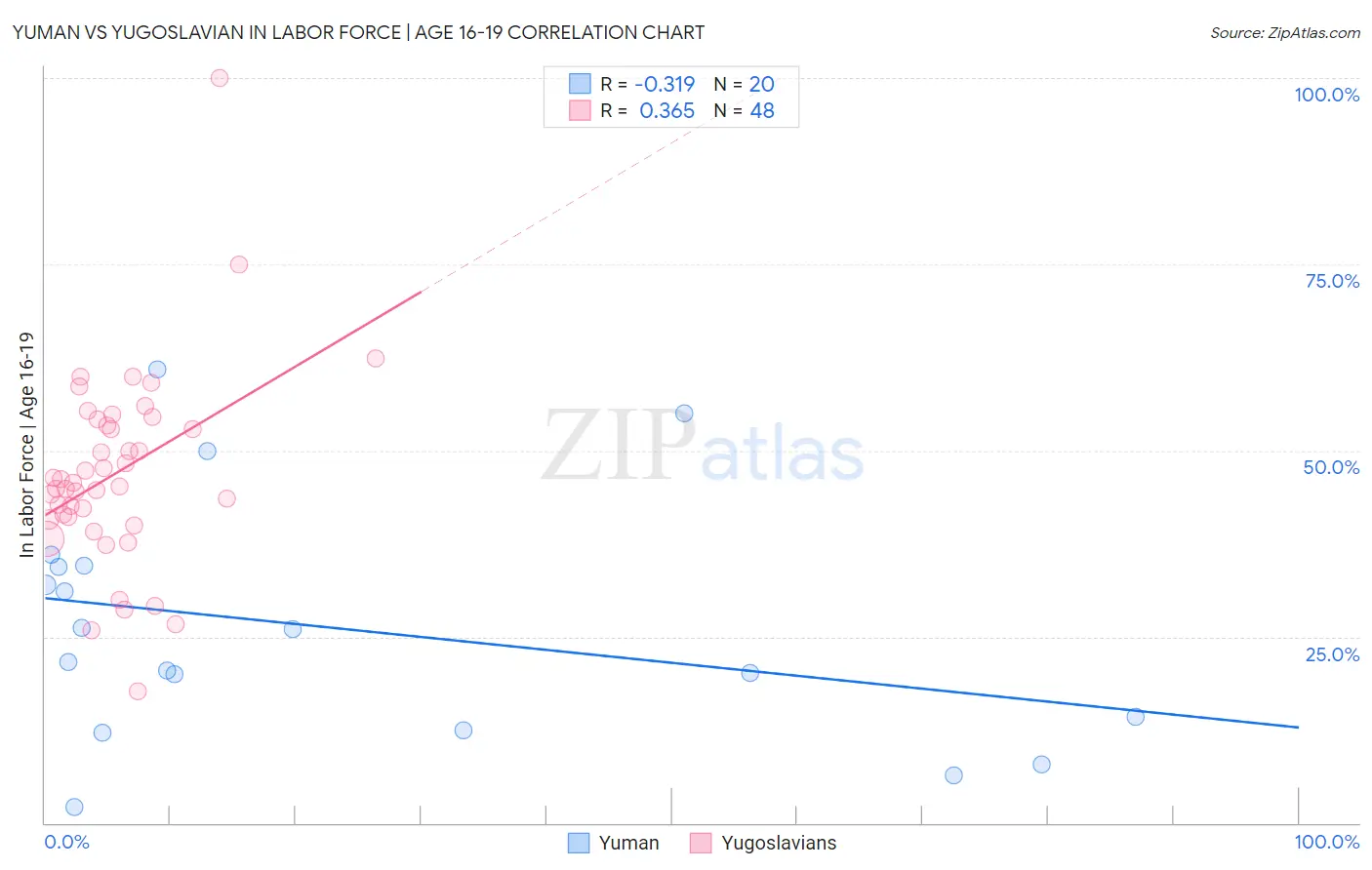 Yuman vs Yugoslavian In Labor Force | Age 16-19
