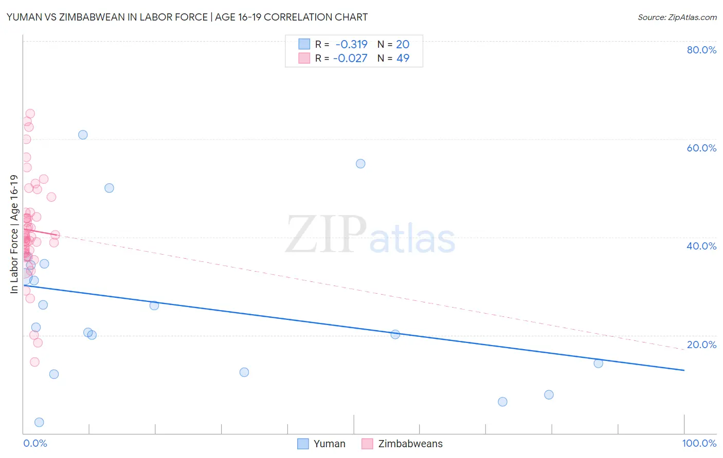 Yuman vs Zimbabwean In Labor Force | Age 16-19