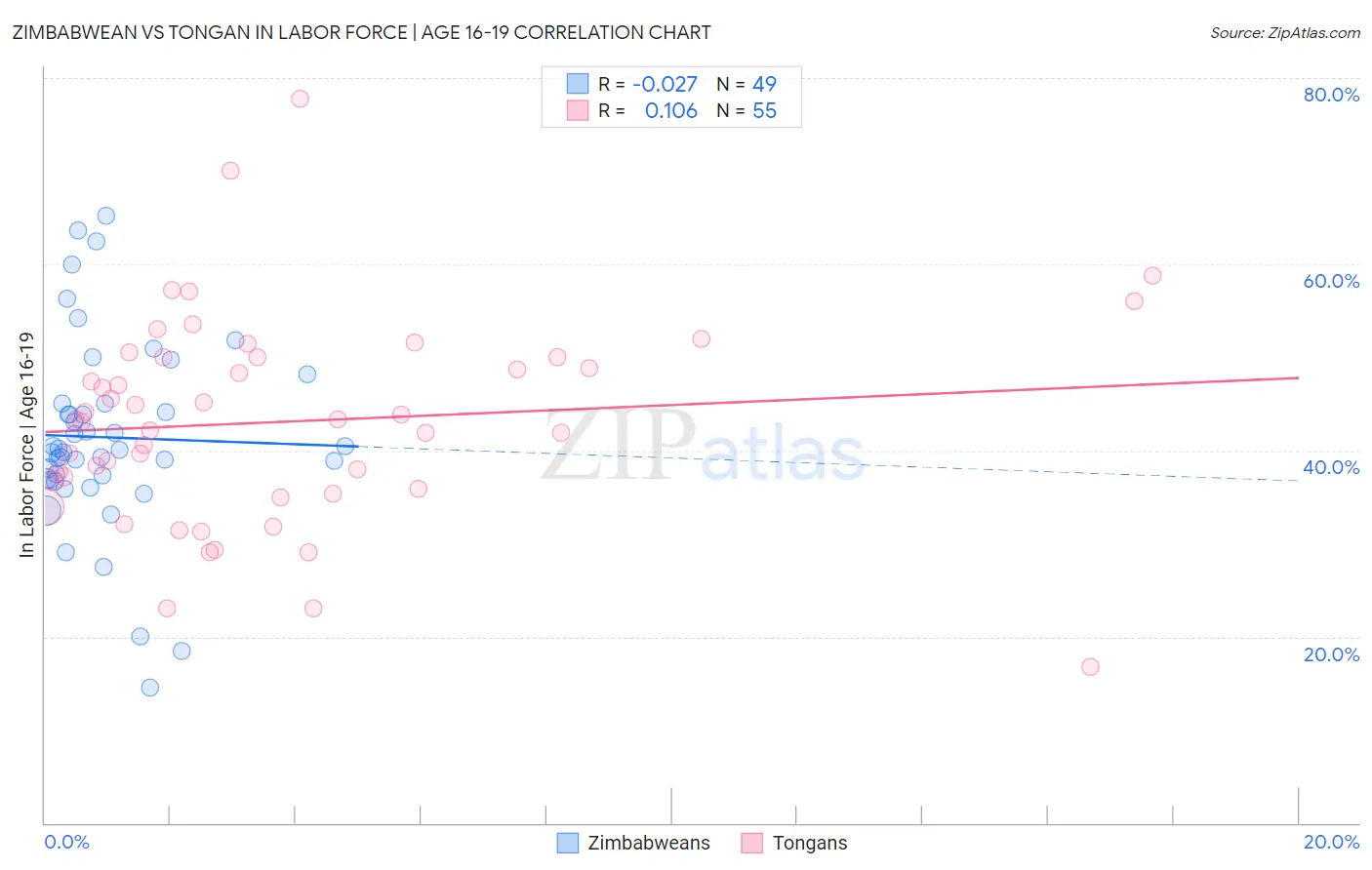 Zimbabwean vs Tongan In Labor Force | Age 16-19