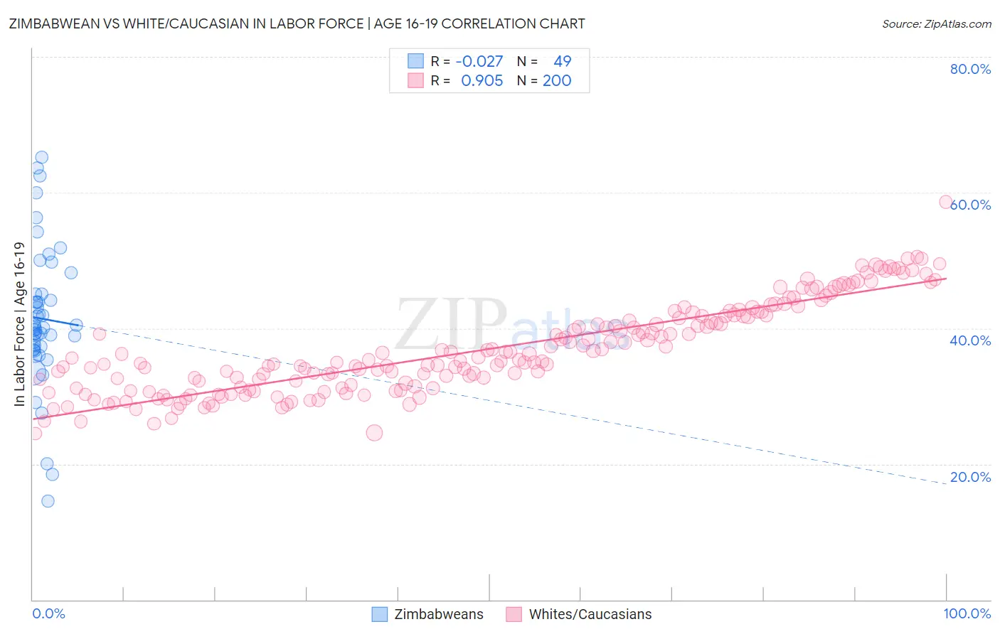Zimbabwean vs White/Caucasian In Labor Force | Age 16-19