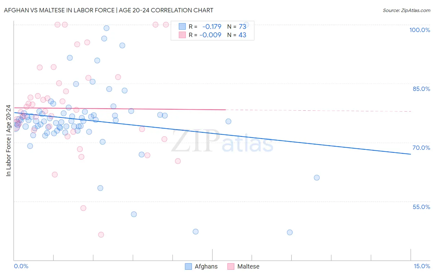 Afghan vs Maltese In Labor Force | Age 20-24