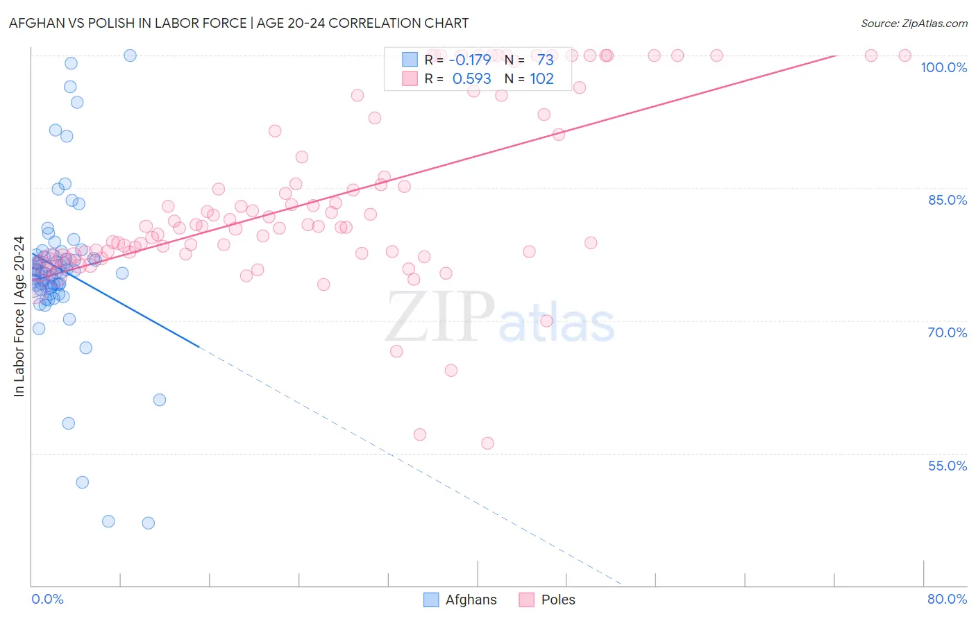 Afghan vs Polish In Labor Force | Age 20-24