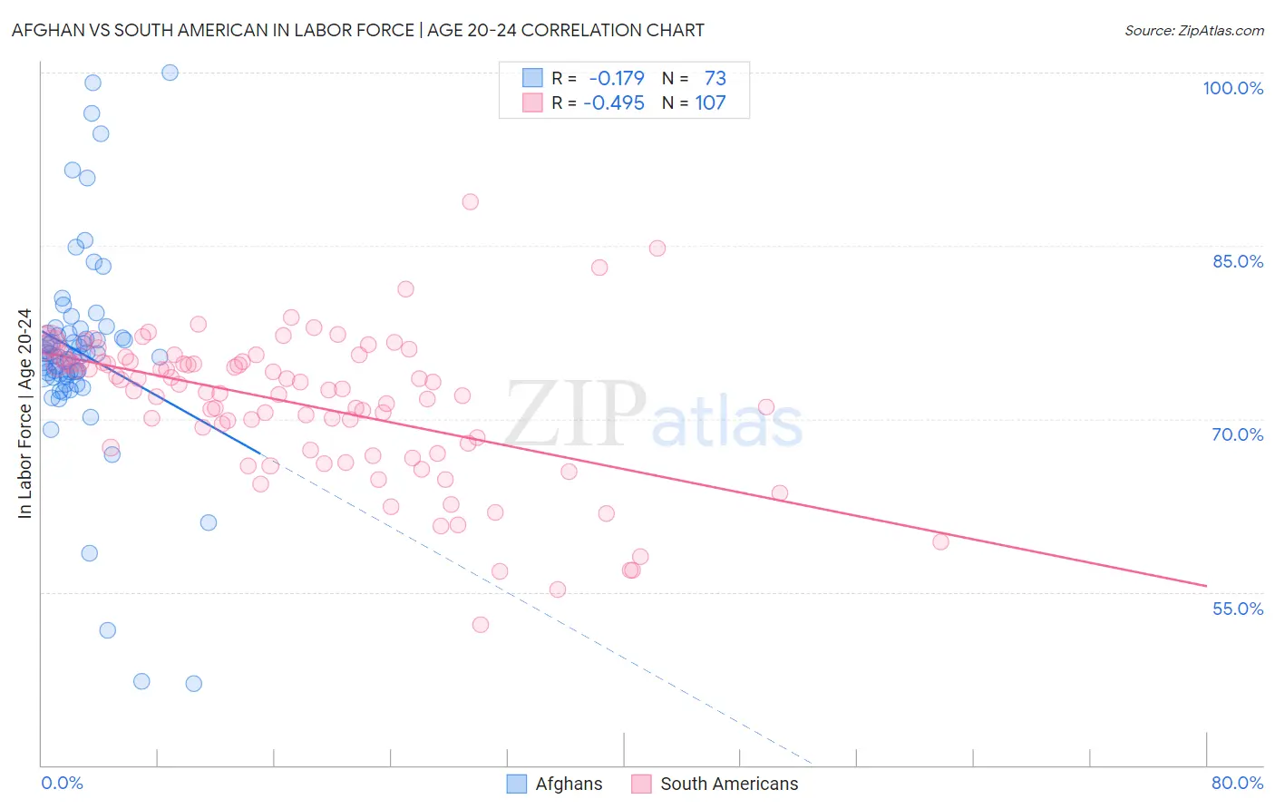 Afghan vs South American In Labor Force | Age 20-24