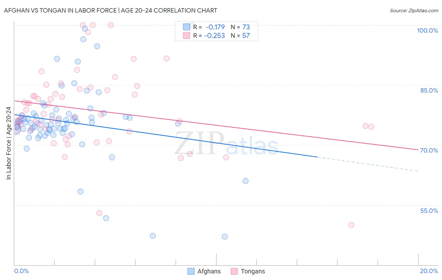 Afghan vs Tongan In Labor Force | Age 20-24