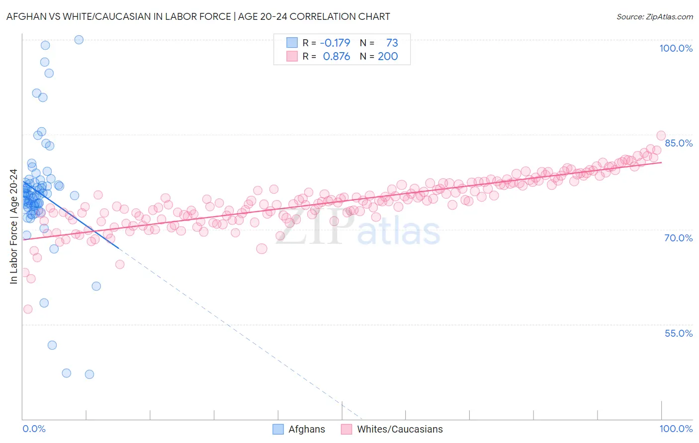 Afghan vs White/Caucasian In Labor Force | Age 20-24