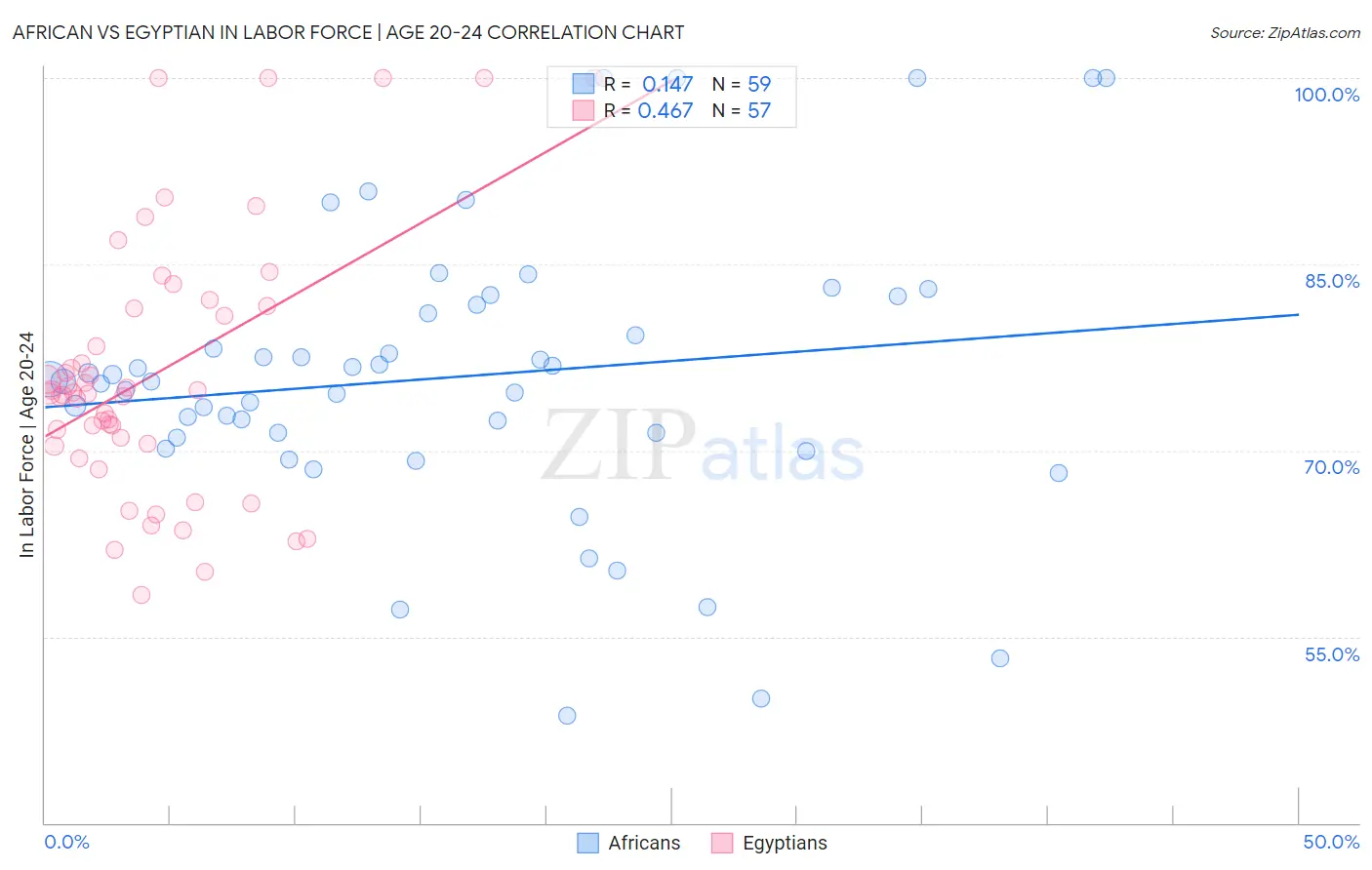 African vs Egyptian In Labor Force | Age 20-24