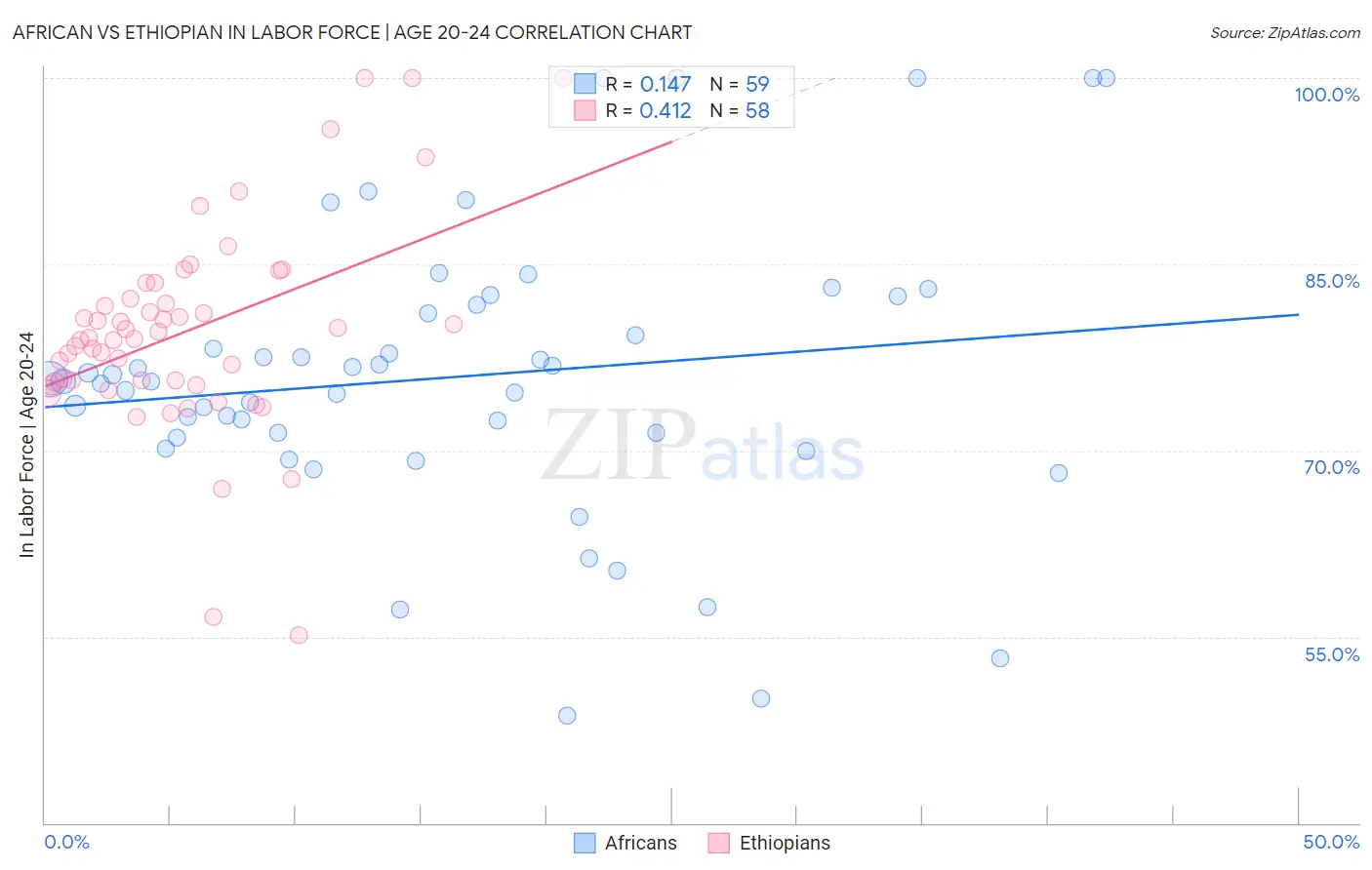 African vs Ethiopian In Labor Force | Age 20-24
