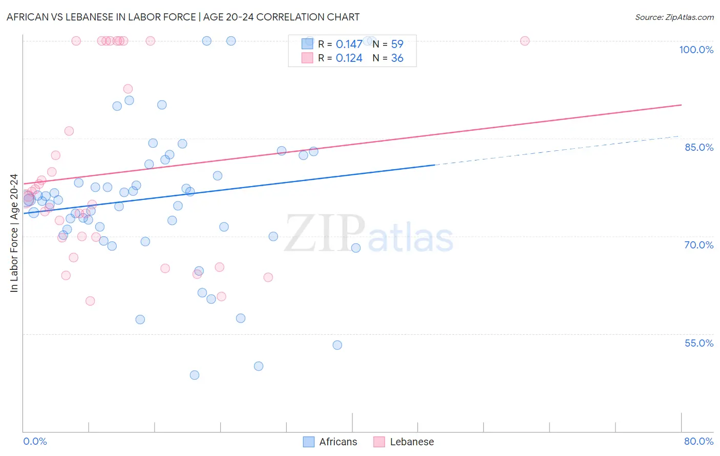 African vs Lebanese In Labor Force | Age 20-24