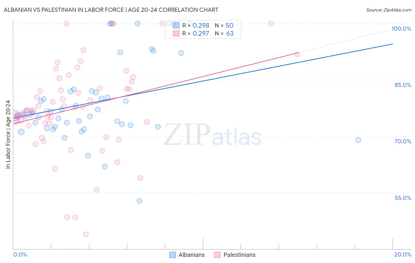Albanian vs Palestinian In Labor Force | Age 20-24