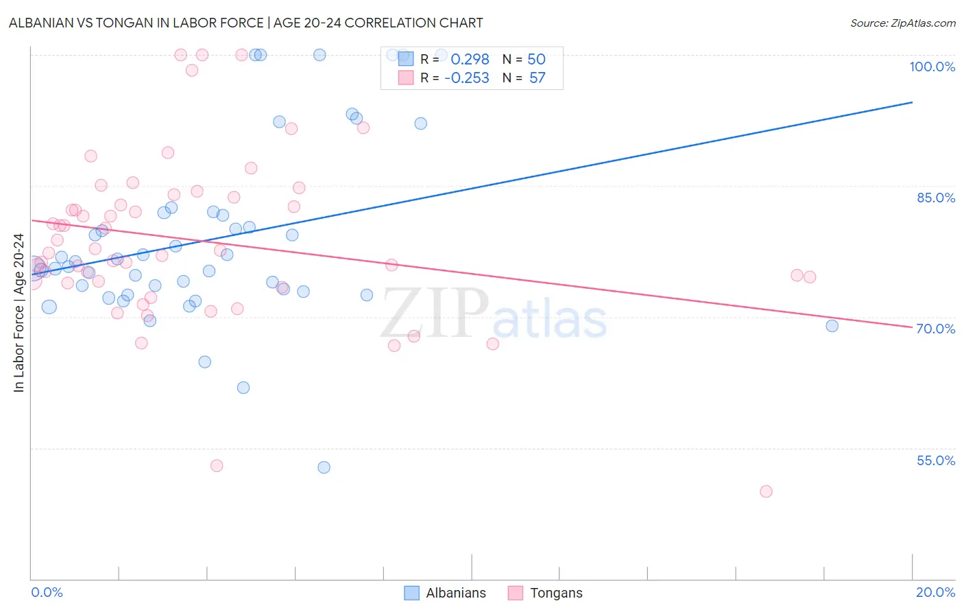 Albanian vs Tongan In Labor Force | Age 20-24