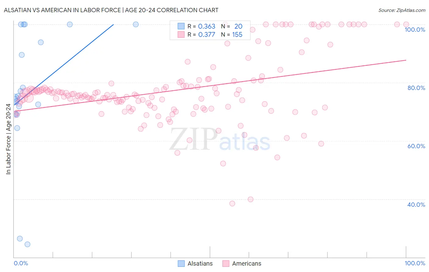 Alsatian vs American In Labor Force | Age 20-24