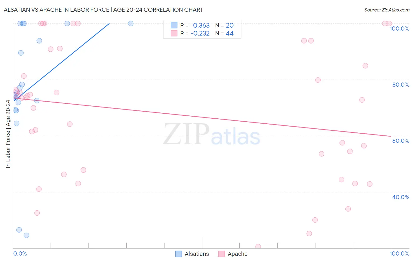 Alsatian vs Apache In Labor Force | Age 20-24