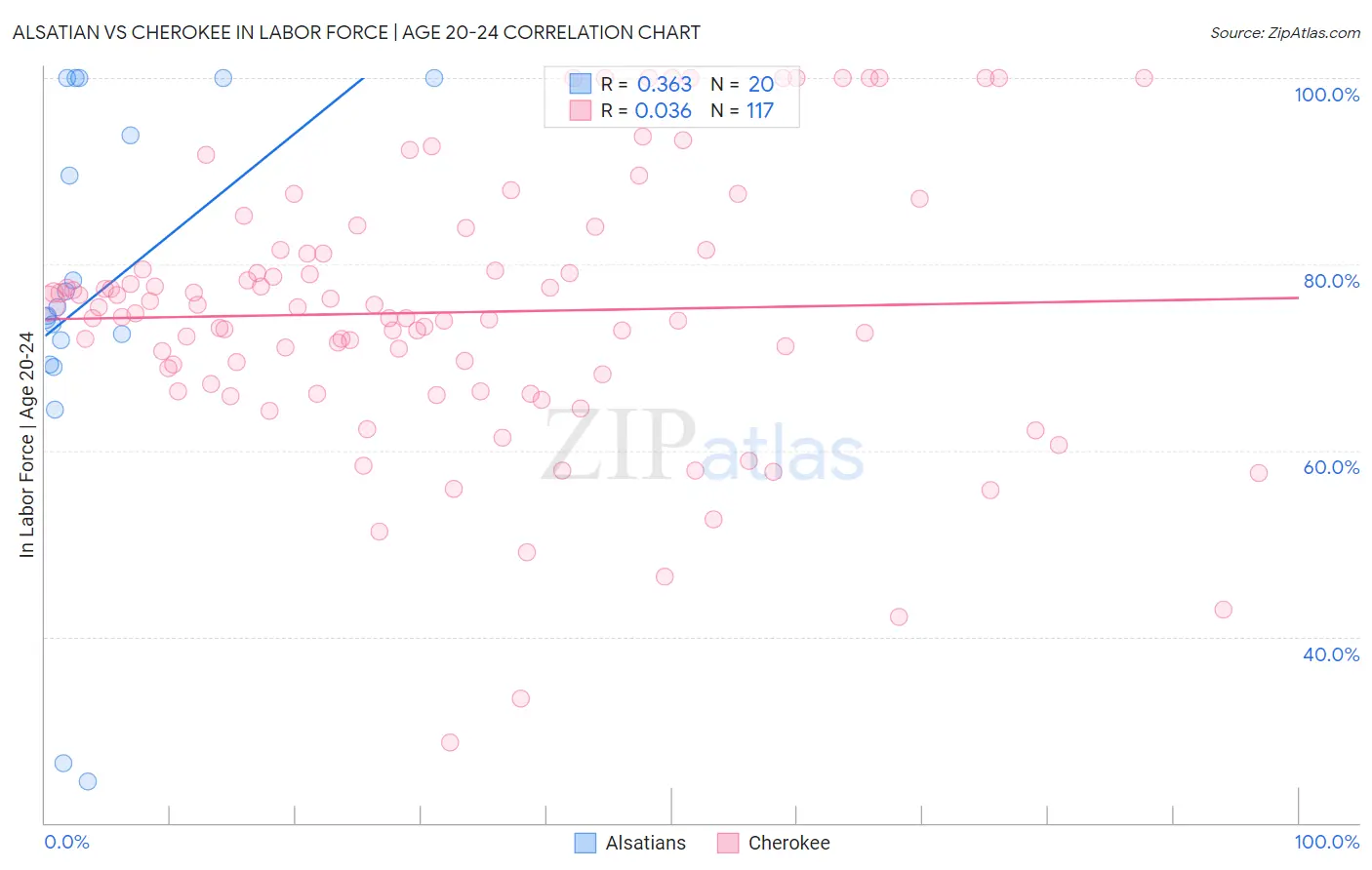 Alsatian vs Cherokee In Labor Force | Age 20-24