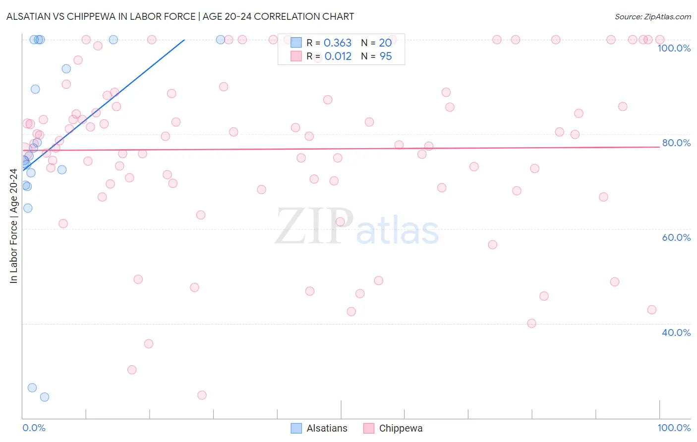 Alsatian vs Chippewa In Labor Force | Age 20-24