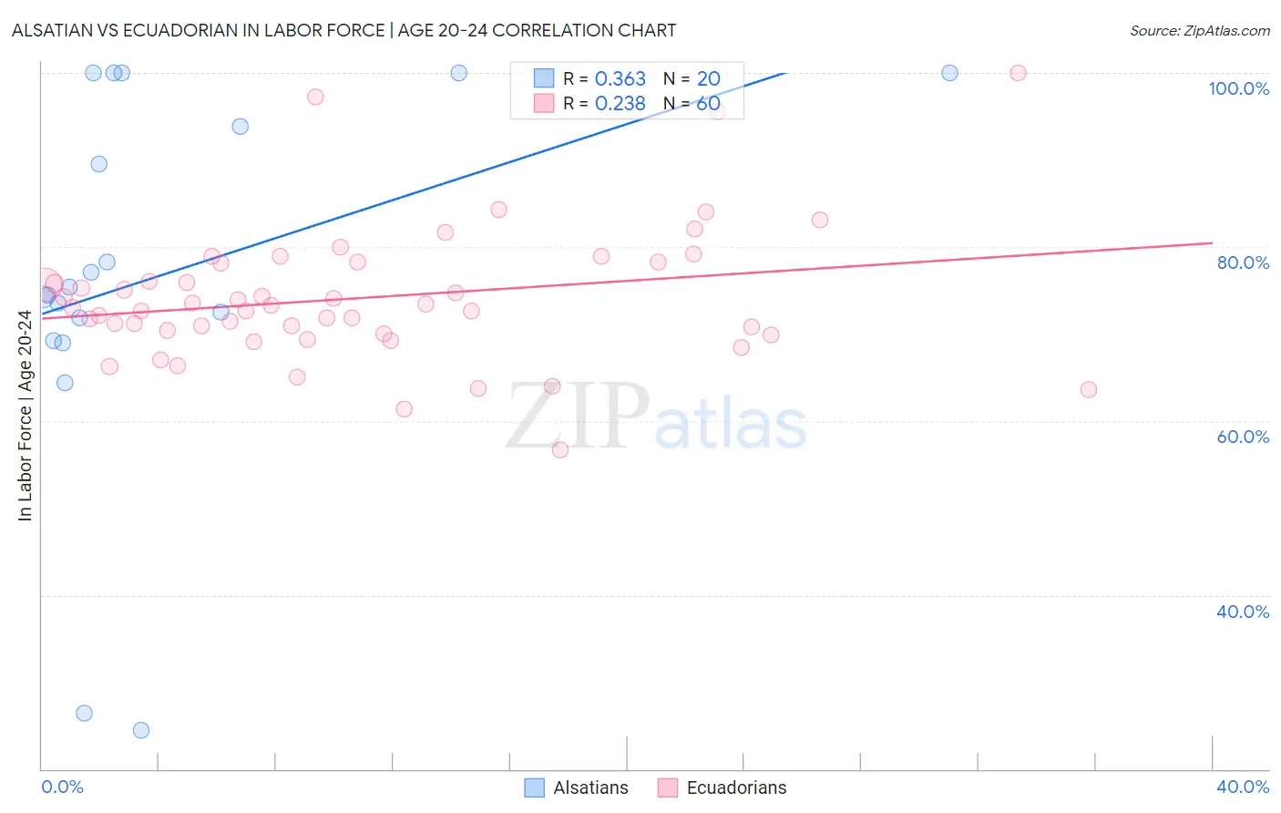Alsatian vs Ecuadorian In Labor Force | Age 20-24