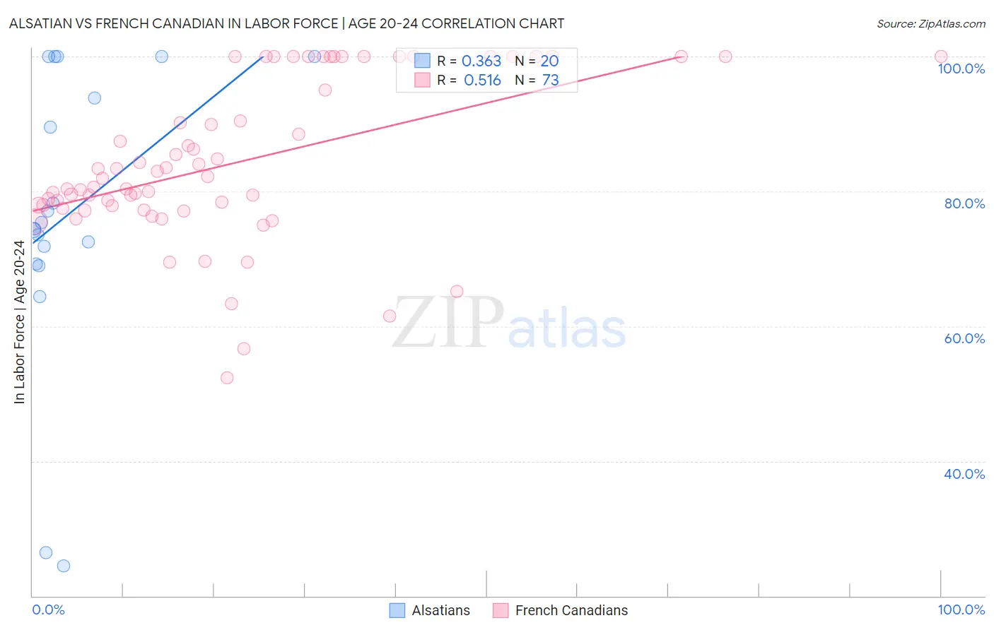 Alsatian vs French Canadian In Labor Force | Age 20-24