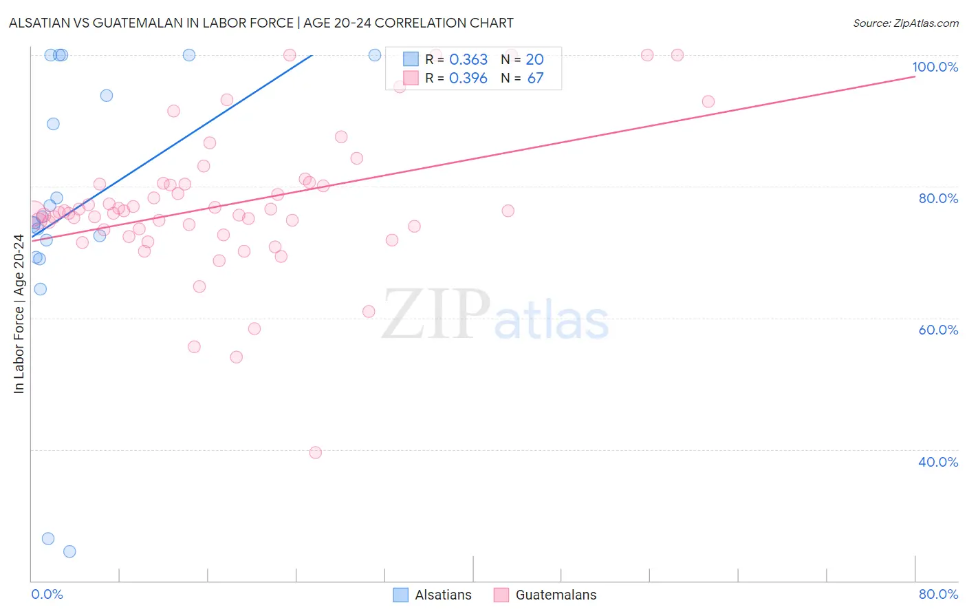 Alsatian vs Guatemalan In Labor Force | Age 20-24
