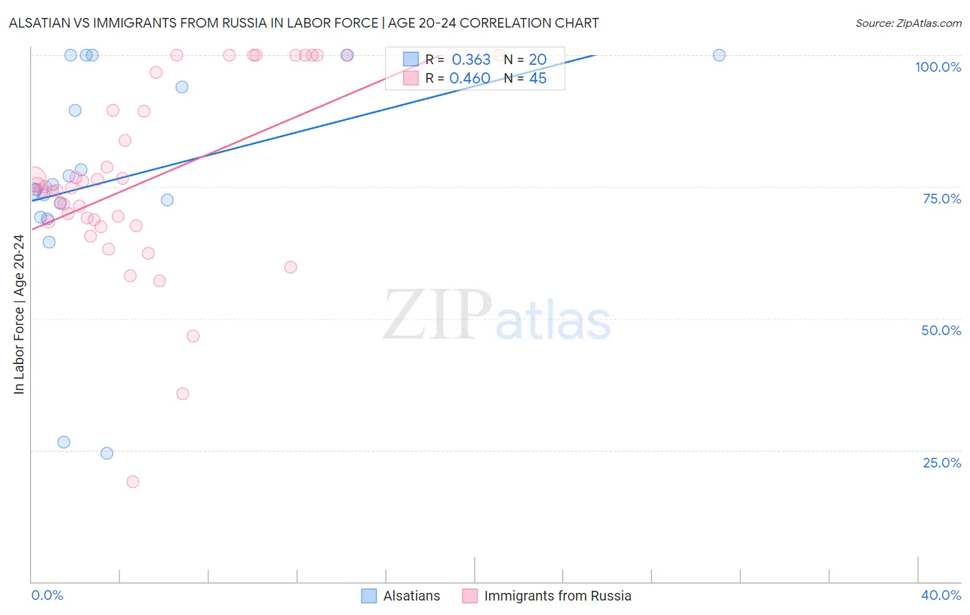Alsatian vs Immigrants from Russia In Labor Force | Age 20-24