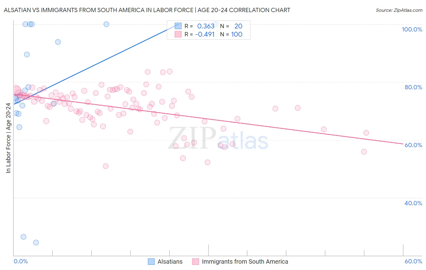 Alsatian vs Immigrants from South America In Labor Force | Age 20-24