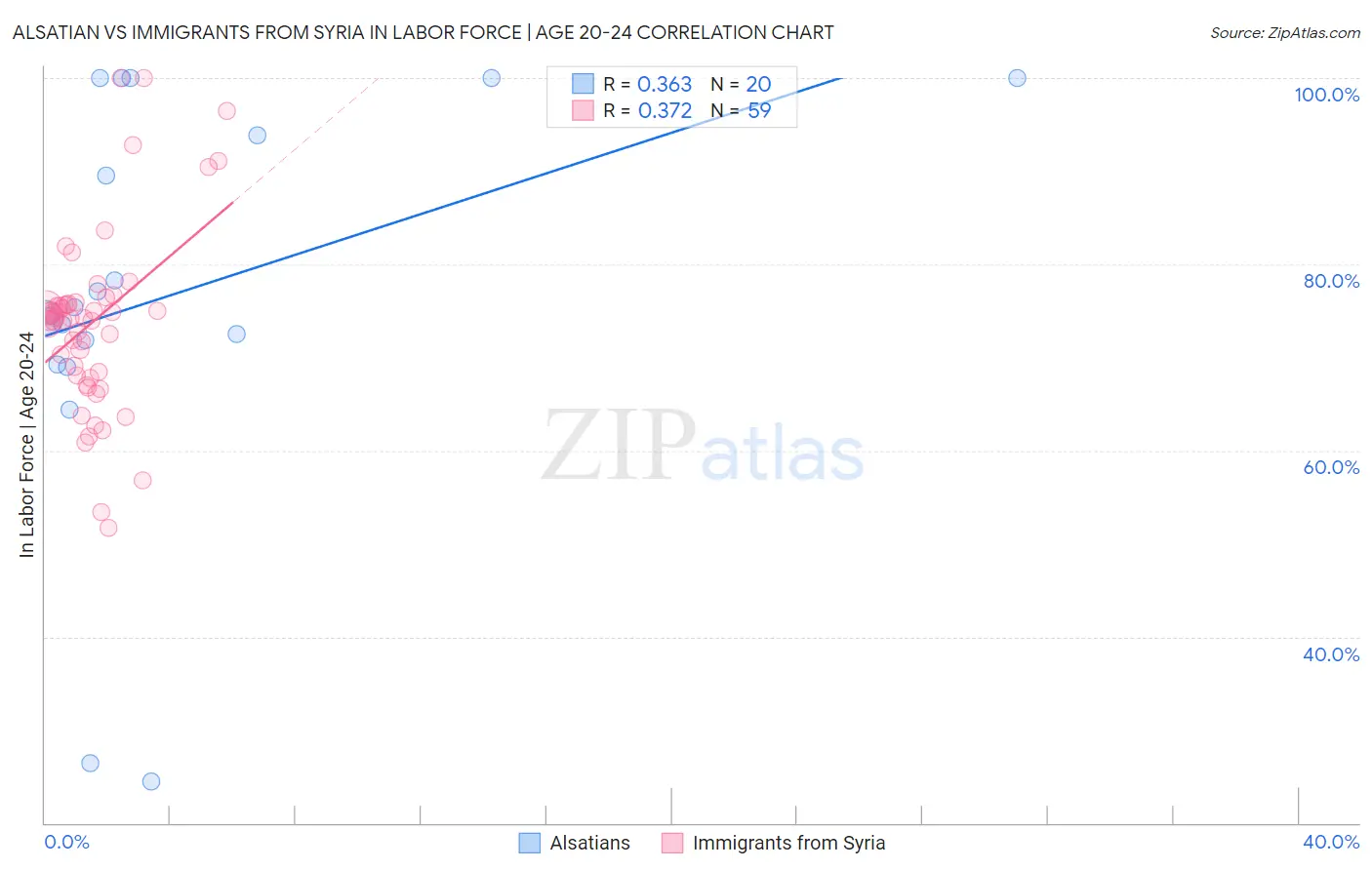 Alsatian vs Immigrants from Syria In Labor Force | Age 20-24