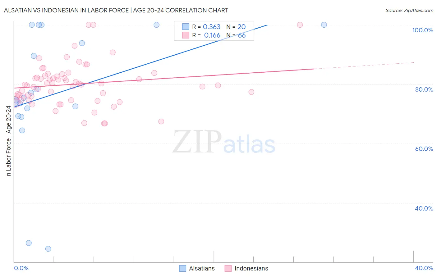 Alsatian vs Indonesian In Labor Force | Age 20-24
