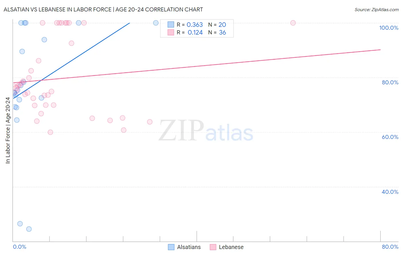 Alsatian vs Lebanese In Labor Force | Age 20-24
