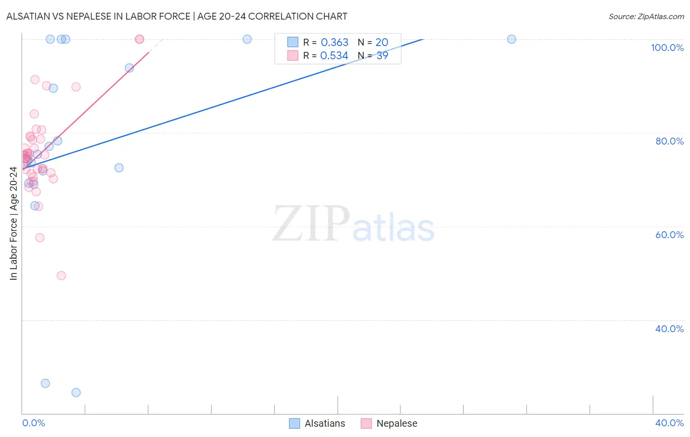 Alsatian vs Nepalese In Labor Force | Age 20-24
