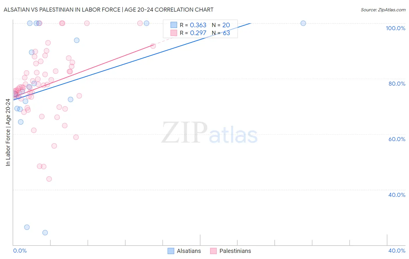 Alsatian vs Palestinian In Labor Force | Age 20-24