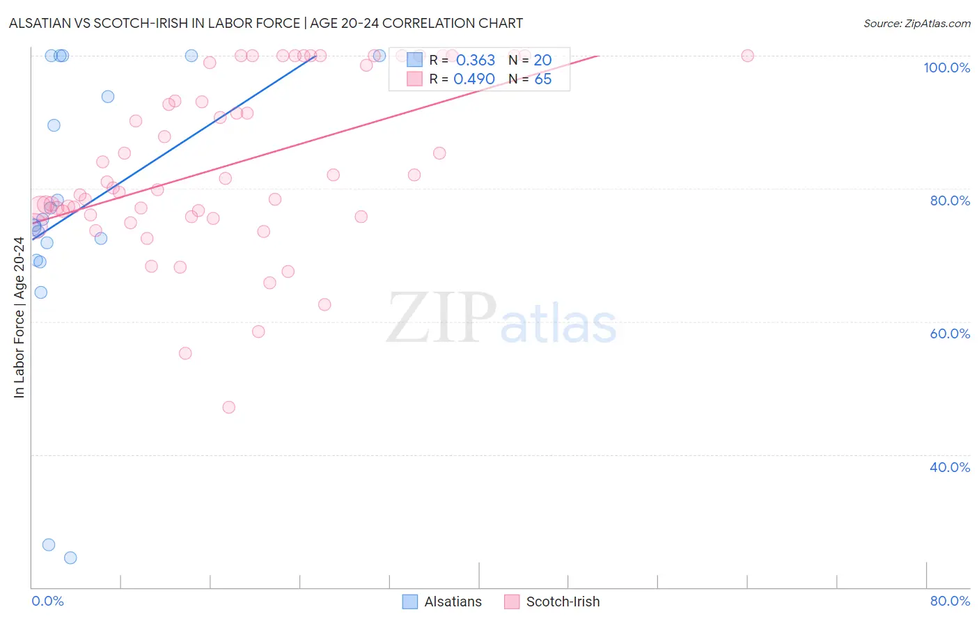 Alsatian vs Scotch-Irish In Labor Force | Age 20-24