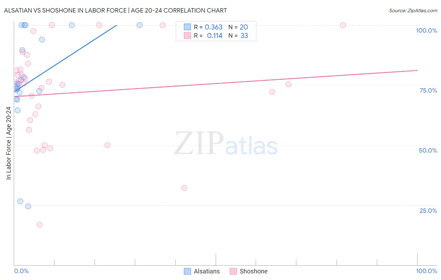 Alsatian vs Shoshone In Labor Force | Age 20-24