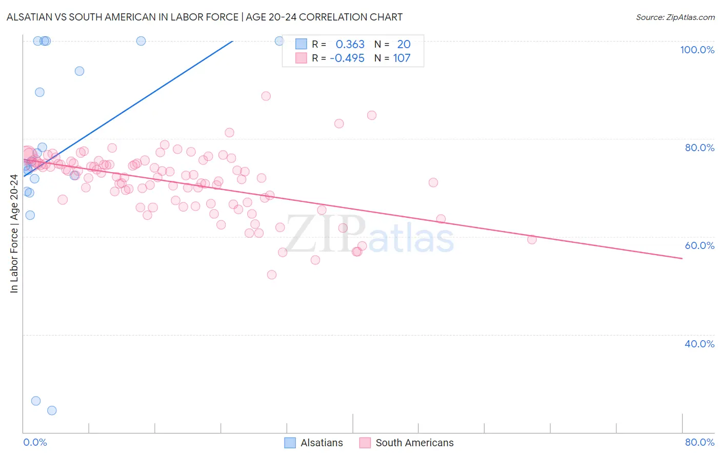 Alsatian vs South American In Labor Force | Age 20-24