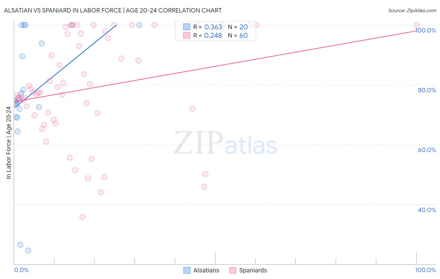 Alsatian vs Spaniard In Labor Force | Age 20-24