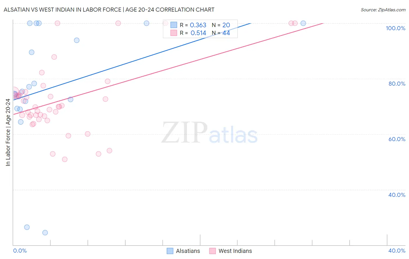 Alsatian vs West Indian In Labor Force | Age 20-24