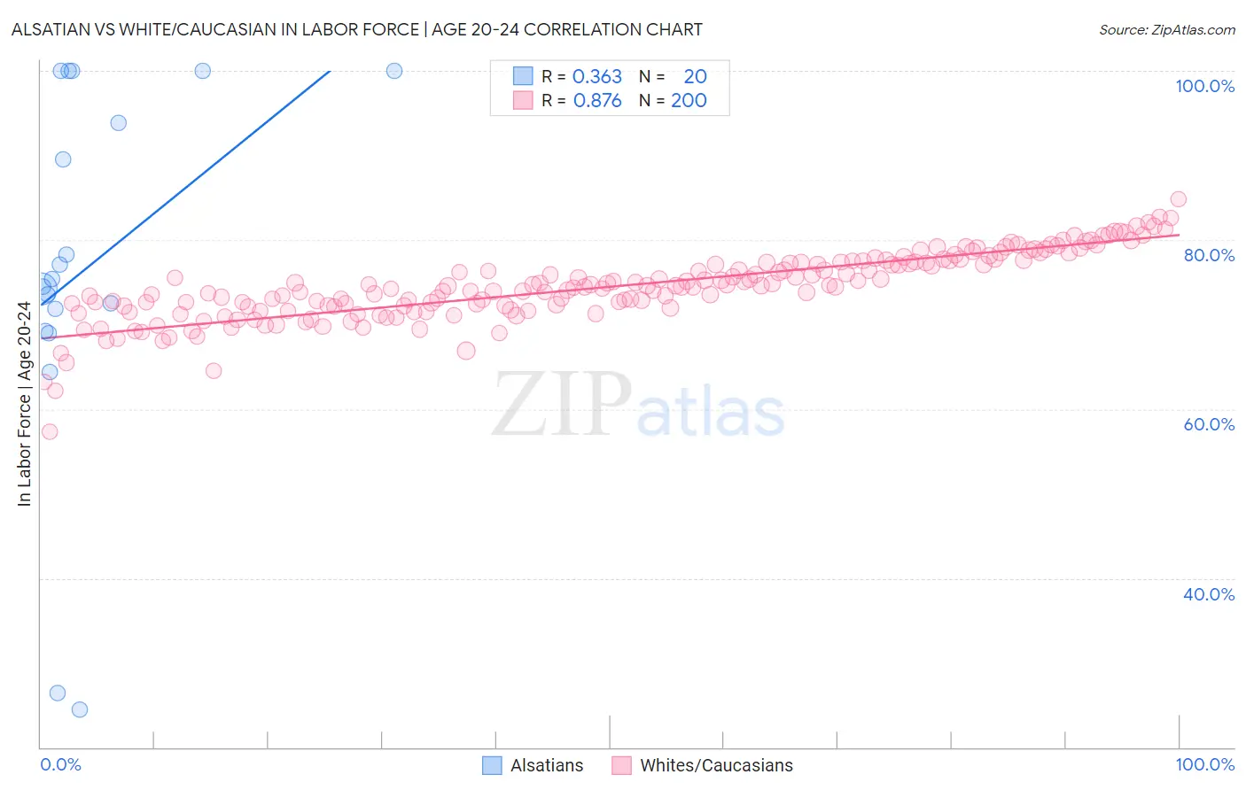 Alsatian vs White/Caucasian In Labor Force | Age 20-24