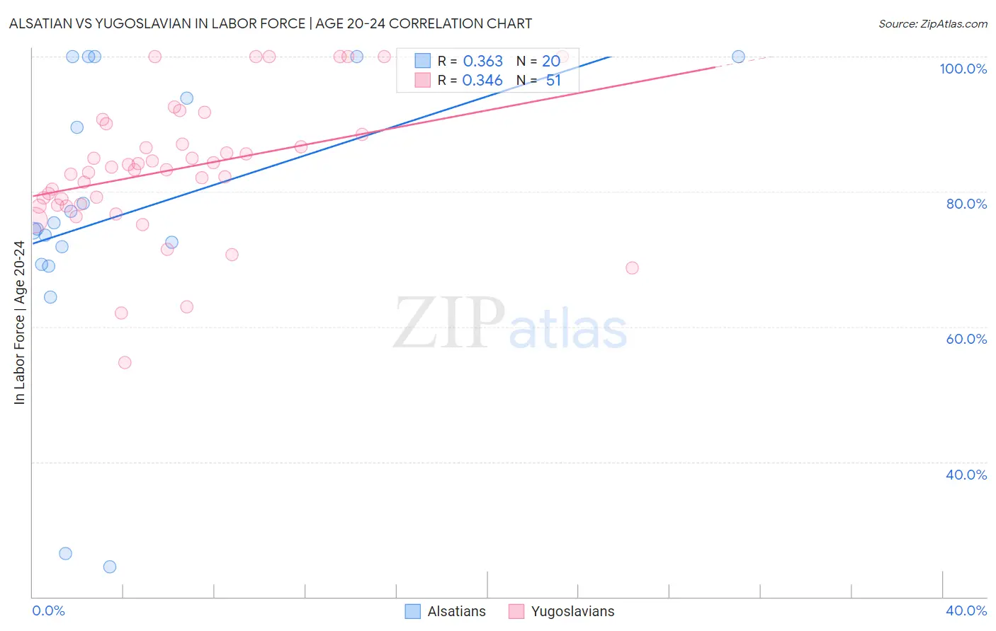 Alsatian vs Yugoslavian In Labor Force | Age 20-24