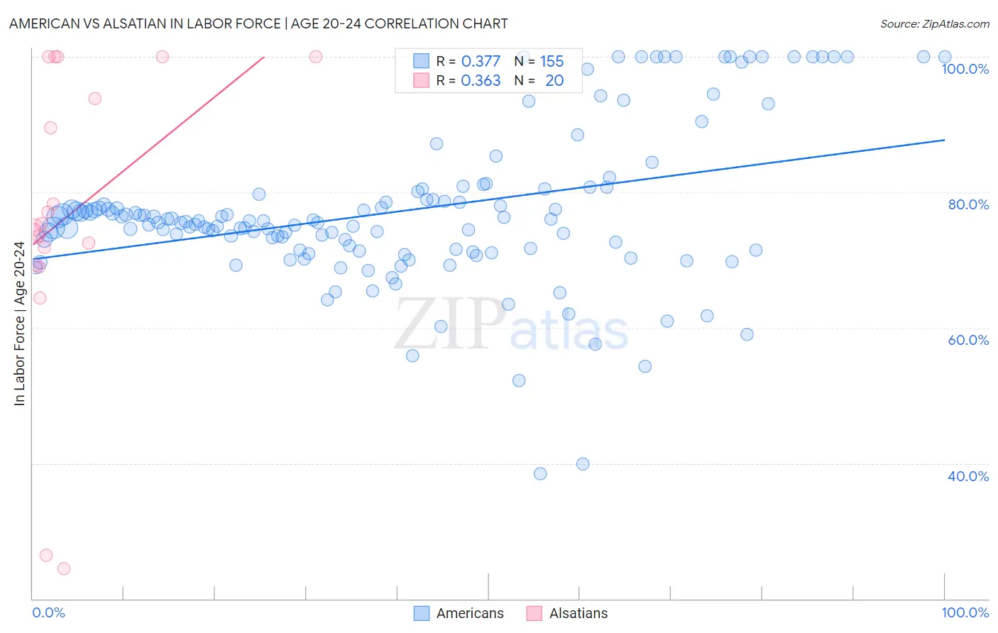 American vs Alsatian In Labor Force | Age 20-24