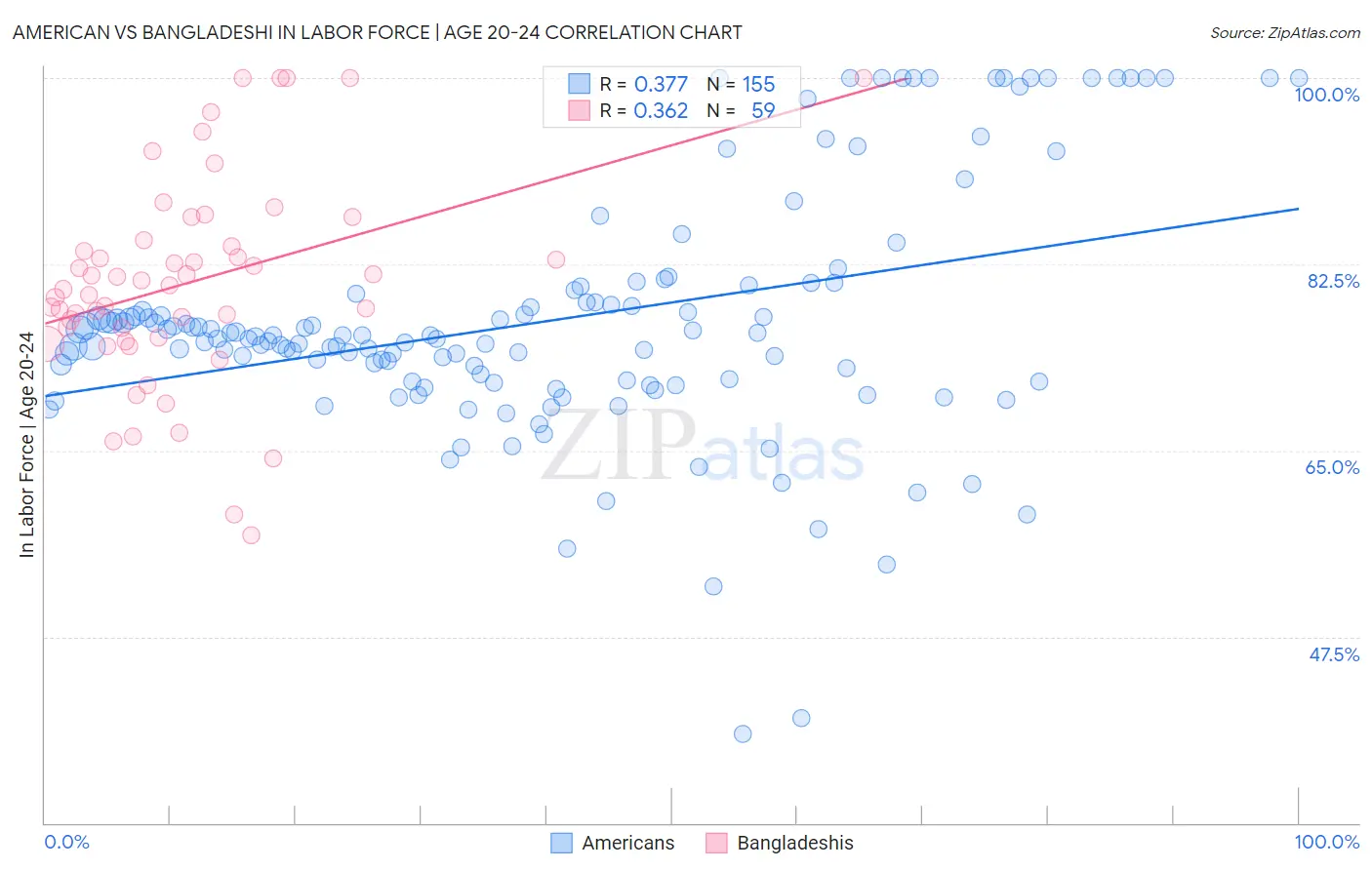 American vs Bangladeshi In Labor Force | Age 20-24